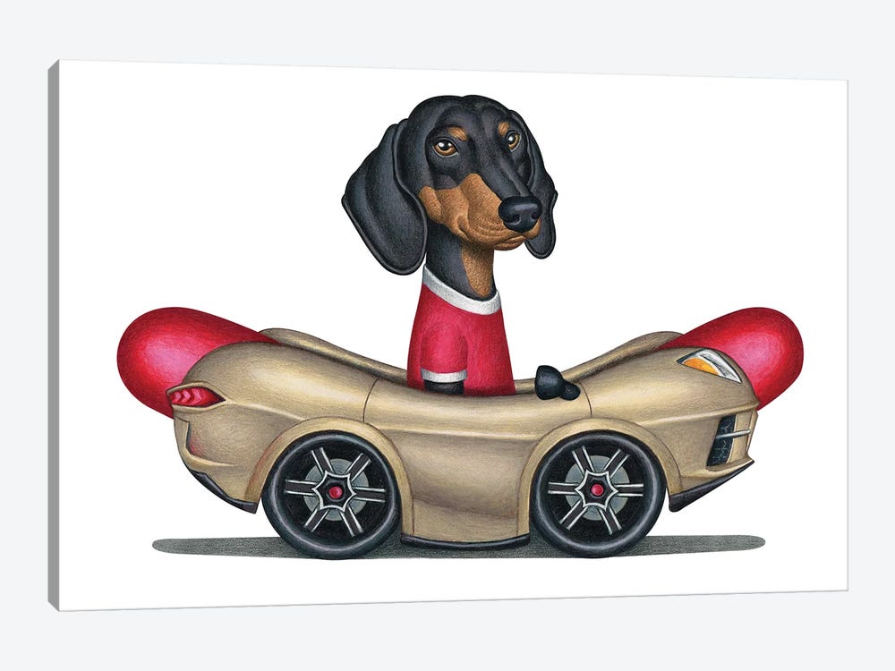 Boris Dachshund In Hot Dog Car by Danny Gordon 1-piece Canvas Wall Art