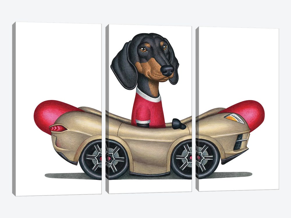 Boris Dachshund In Hot Dog Car by Danny Gordon 3-piece Canvas Art