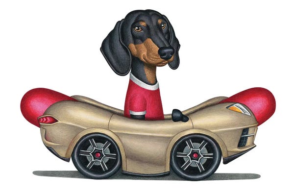 Dachshunds: Boris Dachshund In Hot Dog Car by Danny Gordon