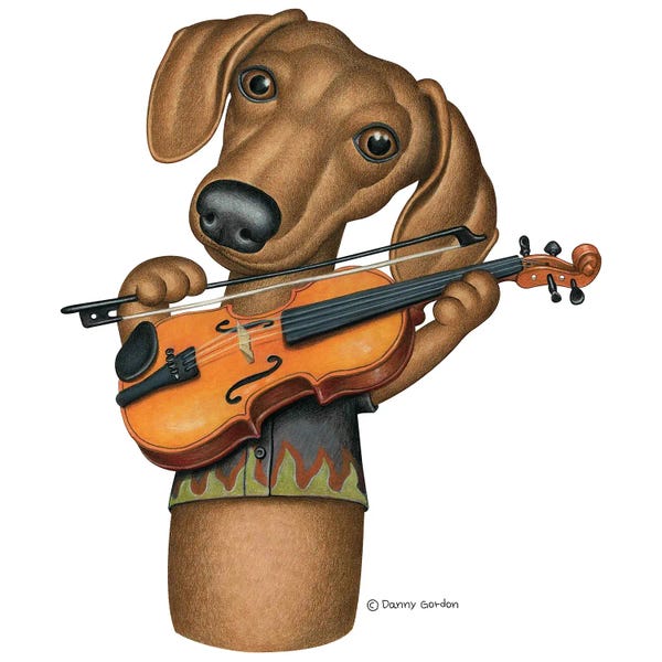 Violins: Dachshund Violin Player by Danny Gordon