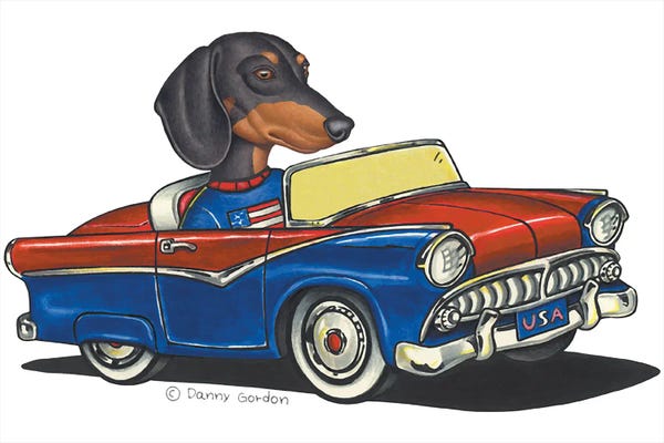 Dachshunds: Dachshund USA Car I by Danny Gordon