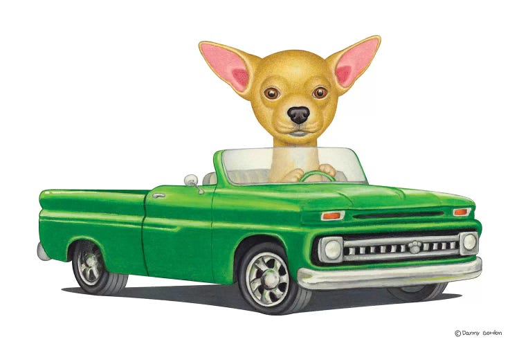 Chihuahua Green Car