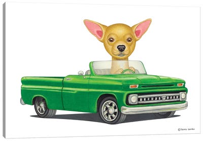 Chihuahua Green Car Canvas Art Print - Danny Gordon