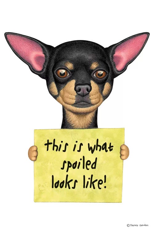 Chihuahua Spoiled Looks Like by Danny Gordon wall art