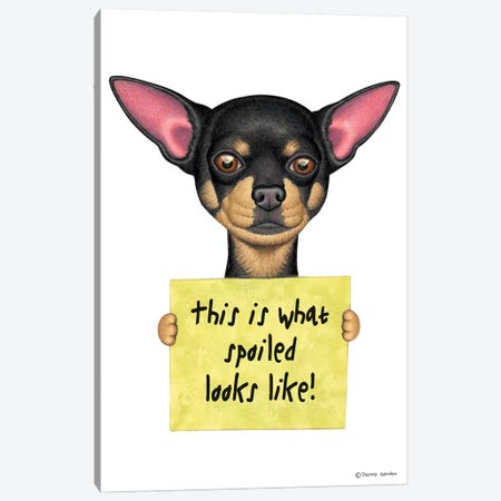 Chihuahua Spoiled Looks Like Canvas Print #DNG31} by Danny Gordon Canvas Artwork