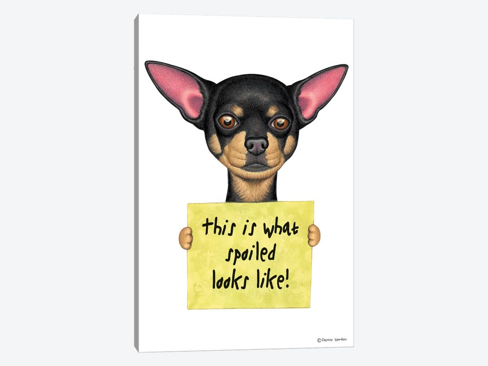 Chihuahua Spoiled Looks Like by Danny Gordon 1-piece Art Print