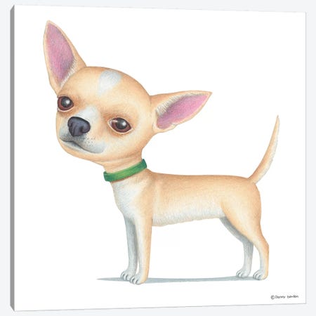 Chihuahua Tan Canvas Print #DNG32} by Danny Gordon Canvas Artwork