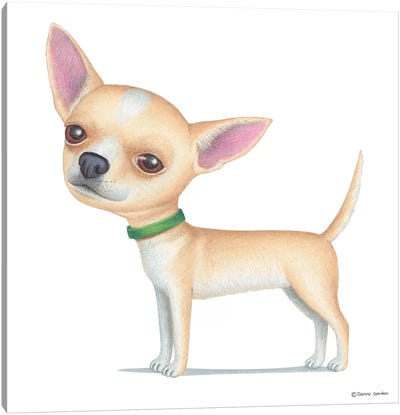 Chihuahua Tan Canvas Art Print - Danny Gordon