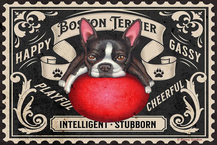 Boston Terrier Red Ball Stamp by Danny Gordon wall art
