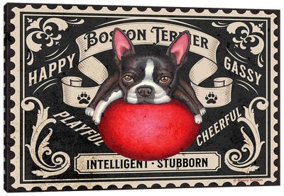Boston Terrier Red Ball Stamp Canvas Art Print - Boston Terrier Art