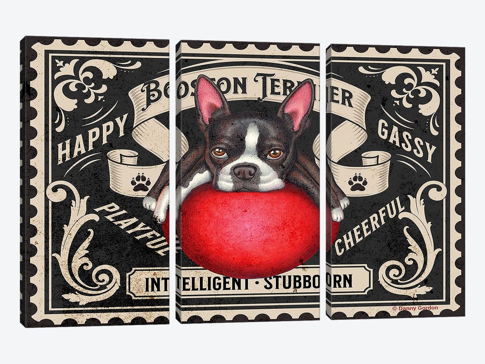 Boston Terrier Red Ball Stamp by Danny Gordon 3-piece Canvas Art