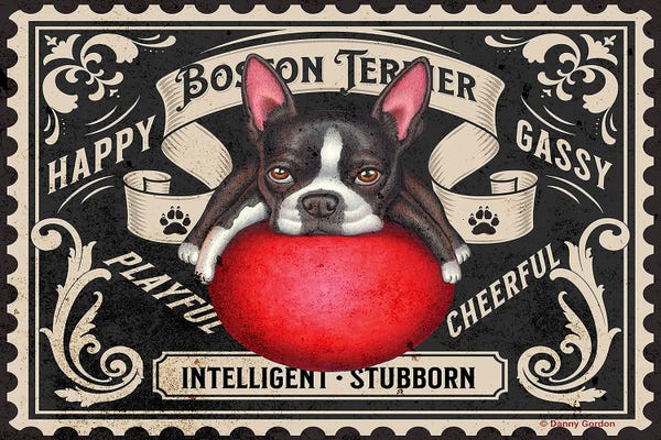 Office Humor: Boston Terrier Red Ball Stamp by Danny Gordon