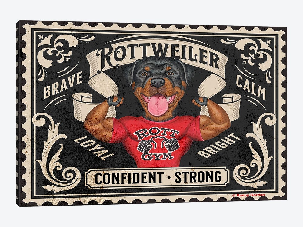 Rottweiler Muscles Stamp by Danny Gordon 1-piece Canvas Print