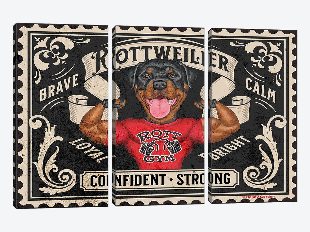 Rottweiler Muscles Stamp by Danny Gordon 3-piece Art Print