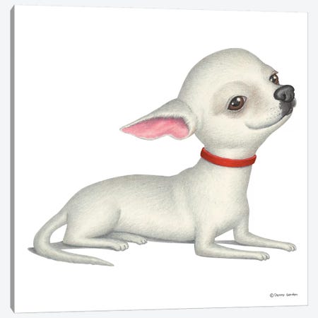 Chihuahua White Canvas Print #DNG33} by Danny Gordon Canvas Artwork
