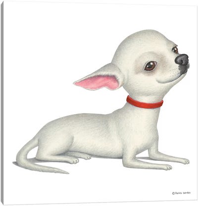 Chihuahua White Canvas Art Print - Danny Gordon