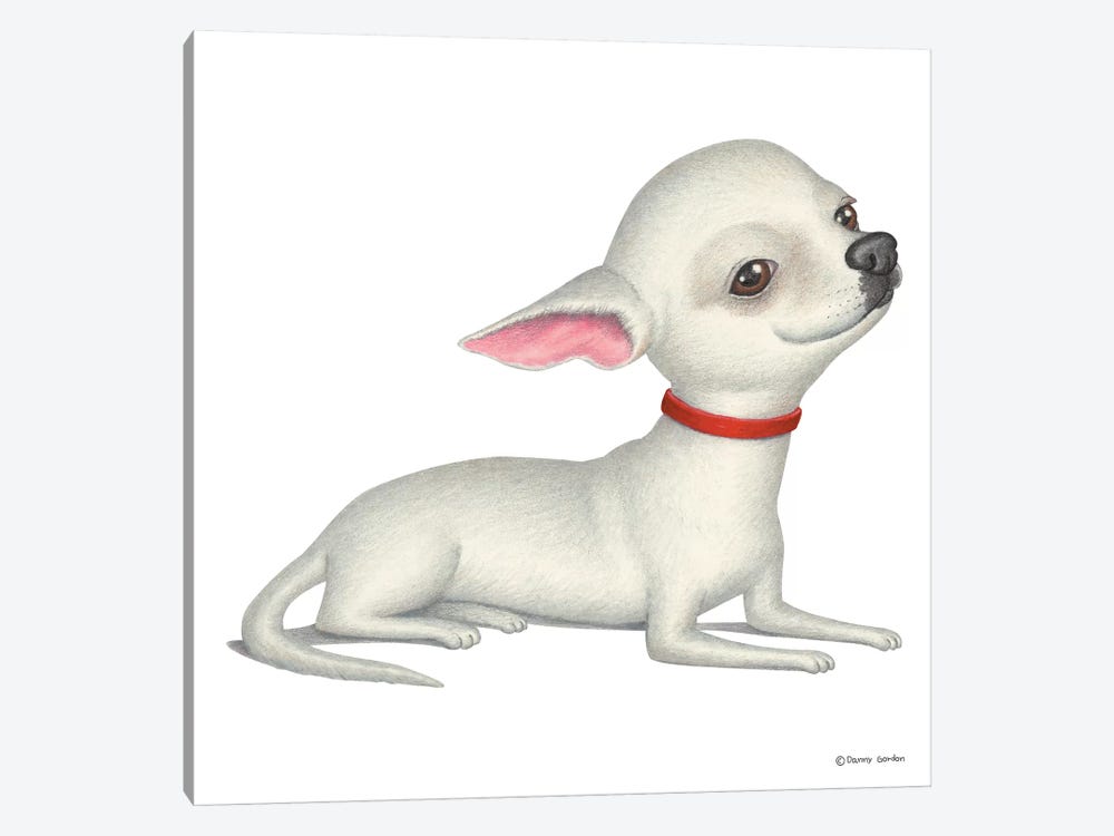 Chihuahua White by Danny Gordon 1-piece Art Print