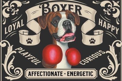 Boxing Boxer Dog Stamp Horizontal by Danny Gordon acrylic art print