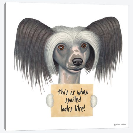 Chinese Crested Canvas Print #DNG34} by Danny Gordon Art Print