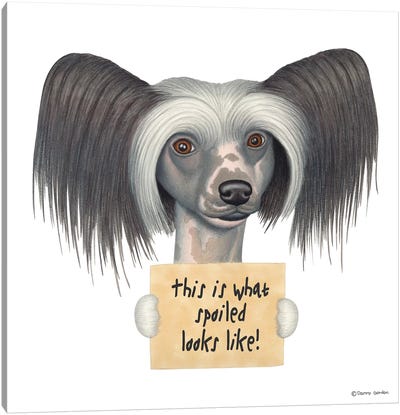 Chinese Crested Canvas Art Print