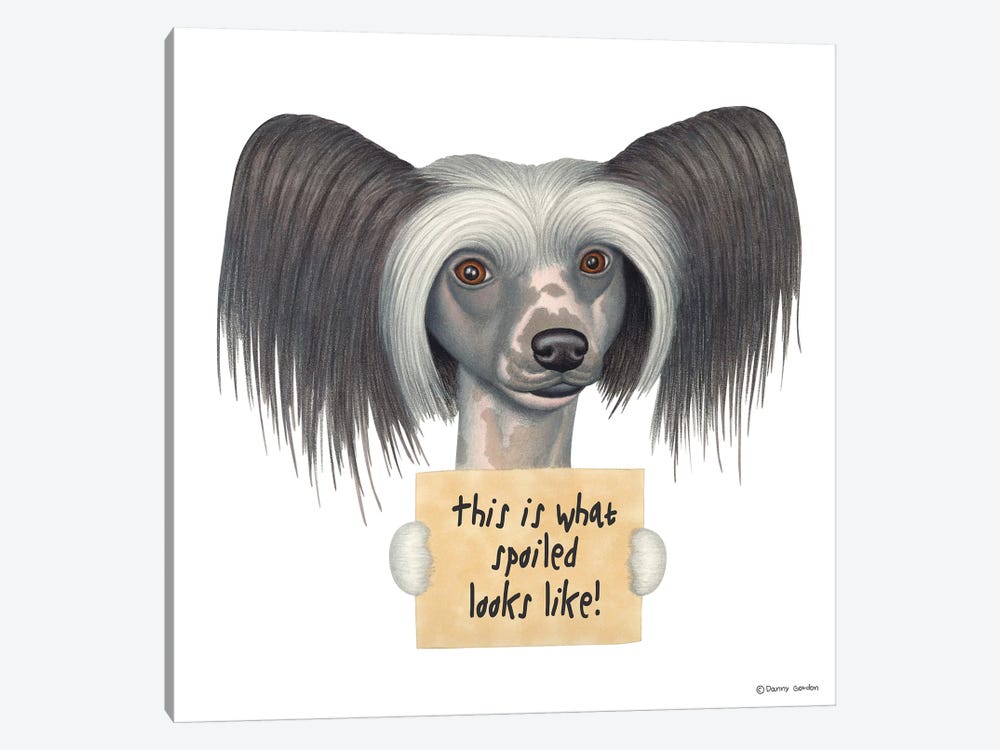 Chinese Crested by Danny Gordon 1-piece Canvas Art