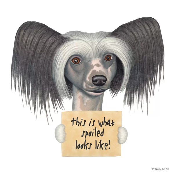 Chinese Crested: Chinese Crested by Danny Gordon