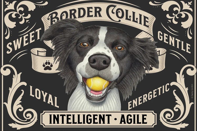 Border Collie Ball In Mouth Stamp Horizontal