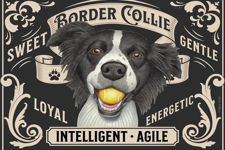 Border Collie Ball In Mouth Stamp Horizontal by Danny Gordon wall art