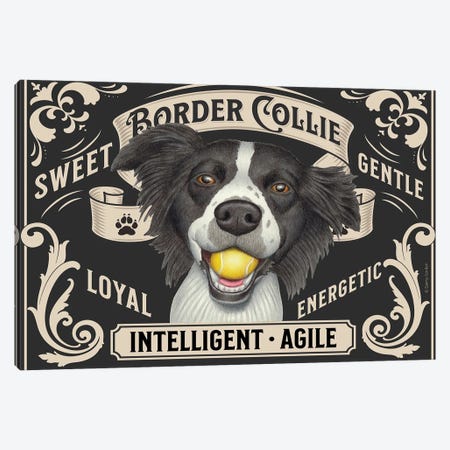 Border Collie Ball In Mouth Stamp Horizontal Canvas Print #DNG356} by Danny Gordon Canvas Artwork