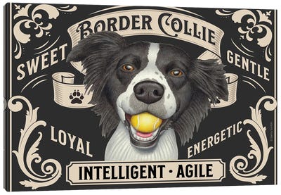 Border Collie Ball In Mouth Stamp Horizontal Canvas Art Print - Funny Typography Art