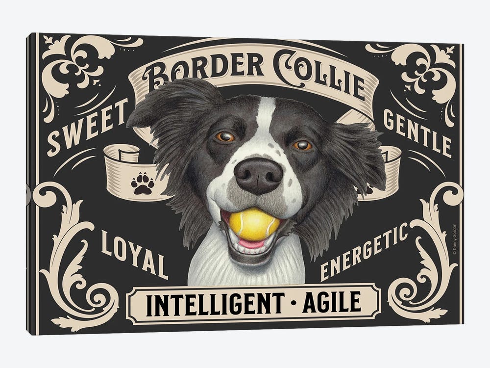 Border Collie Ball In Mouth Stamp Horizontal by Danny Gordon 1-piece Canvas Print
