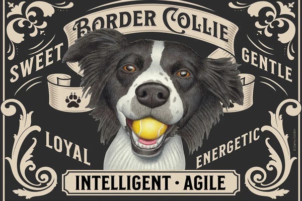 Border Collies: Border Collie Ball In Mouth Stamp Horizontal by Danny Gordon