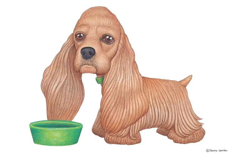 Cocker Spaniel by Danny Gordon wall art