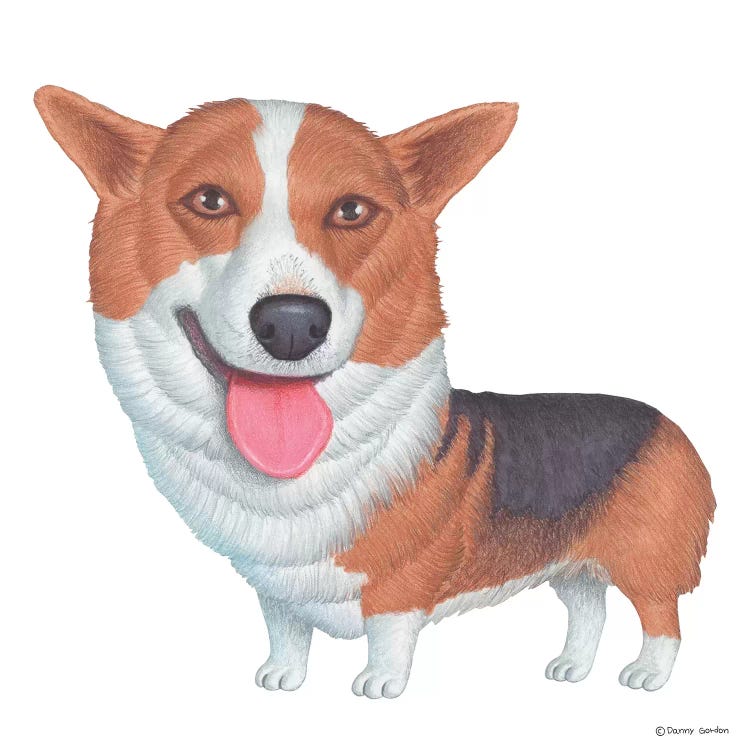 Corgi Pembroke by Danny Gordon wall art