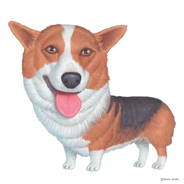 Corgis: Corgi Pembroke by Danny Gordon