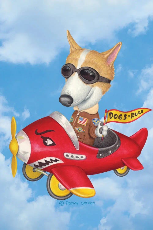 Corgi In Plane Sky Background