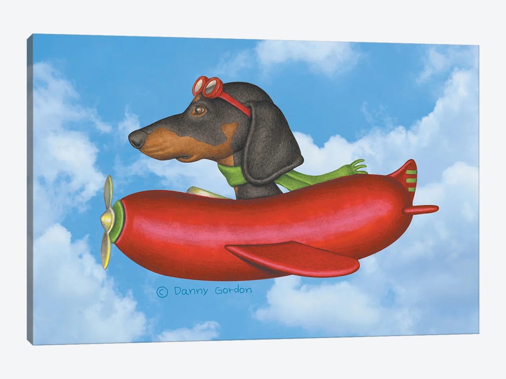 Black Dachshund Sausage Plane Sky Background by Danny Gordon 1-piece Art Print