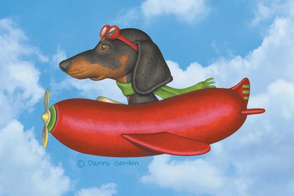 Dachshunds: Black Dachshund Sausage Plane Sky Background by Danny Gordon