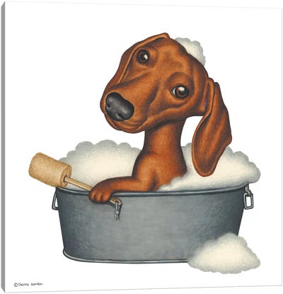 Dachshund Bath Canvas Art Print - Animal Humor Art