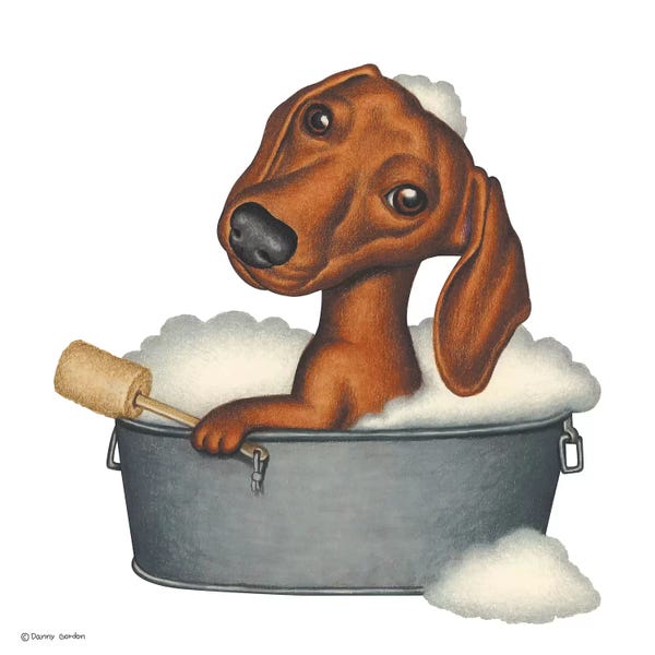 Dachshunds: Dachshund Bath by Danny Gordon