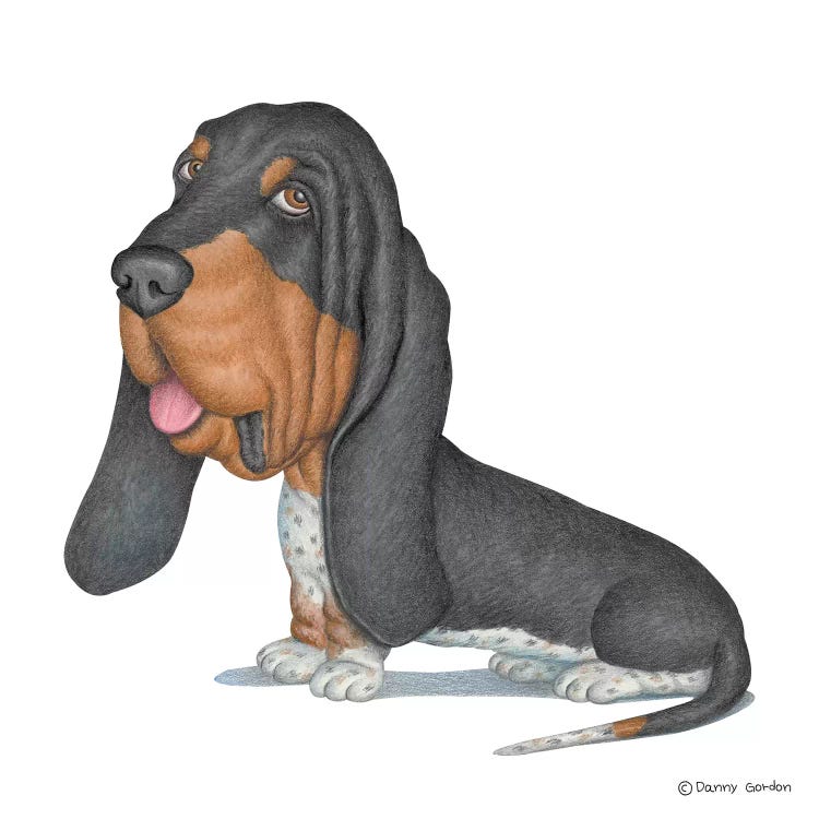 Basset Hound by Danny Gordon wall art