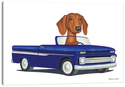 Dachshund Blue Car Canvas Art Print - Danny Gordon