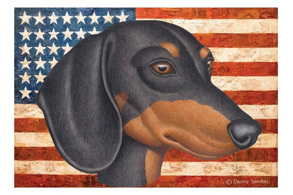 Dachshunds: Black Dachshund With Flag by Danny Gordon