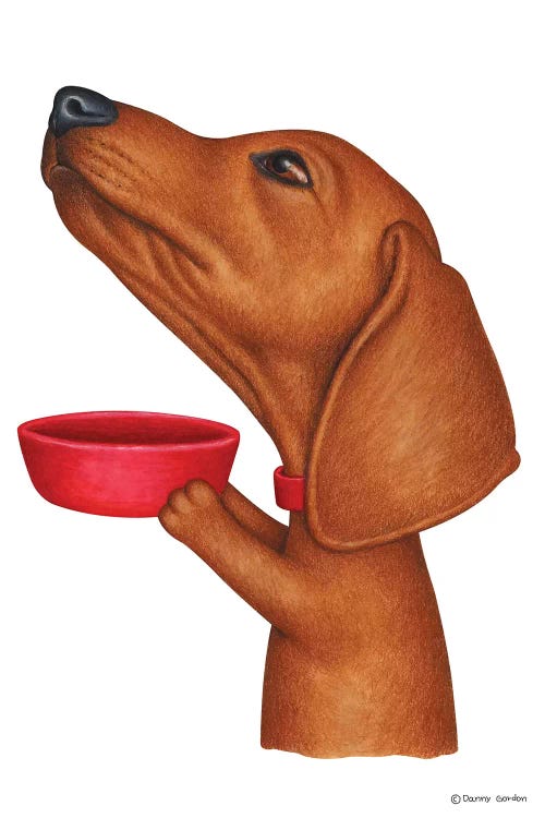 Dachshund Fill The Bowl Please by Danny Gordon wall art