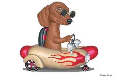 Olivine - Canvas Prints: Willie The Dachshund by Danny Gordon