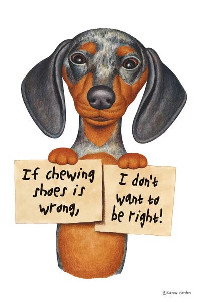 Dachshund I Don't Want To Be Right by Danny Gordon canvas print