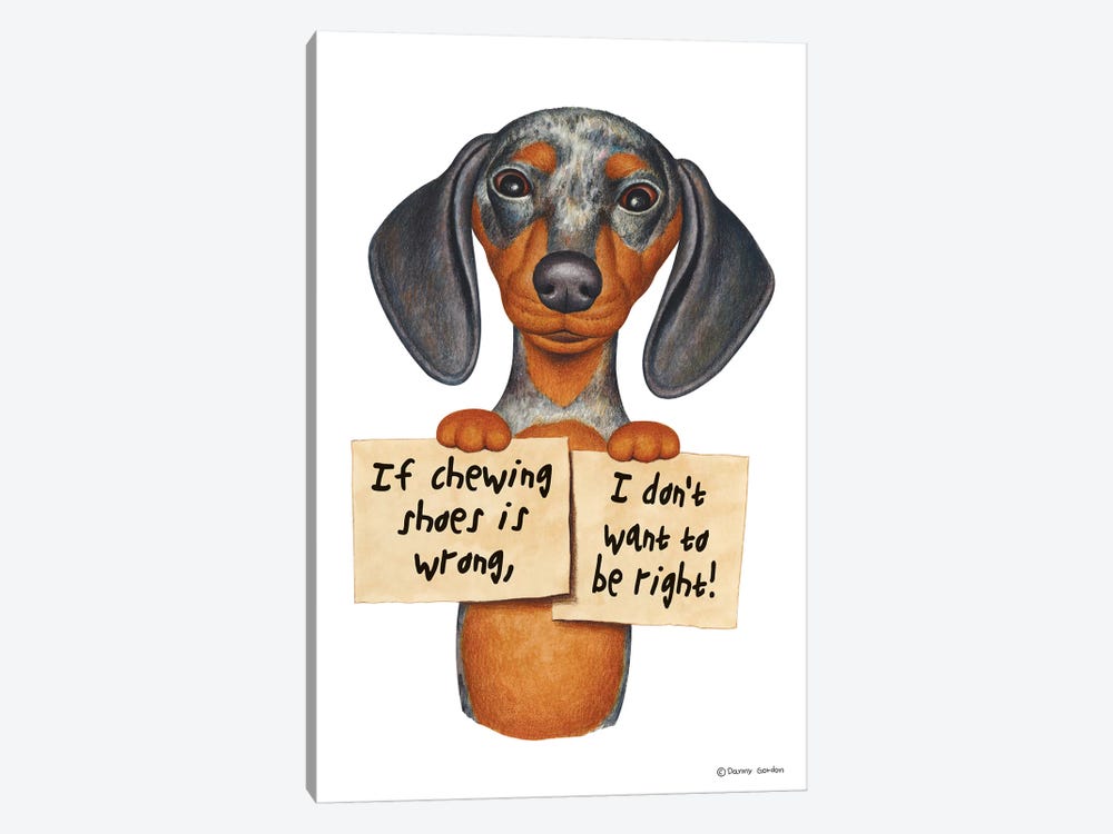 Dachshund I Don't Want To Be Right by Danny Gordon 1-piece Canvas Artwork