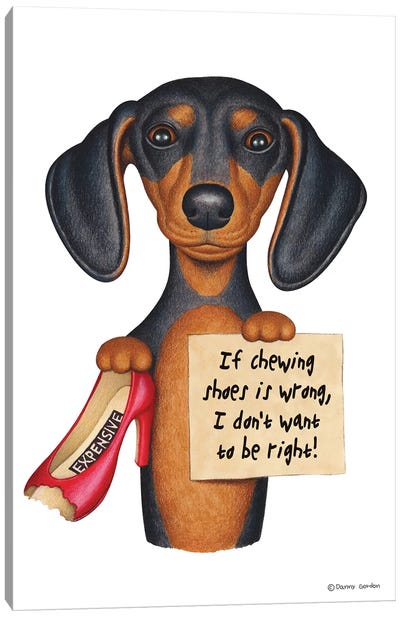 Dachshund I Don't Want To Be Right With Shoe Canvas Art Print - Danny Gordon