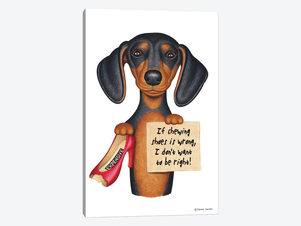 Dachshund I Don't Want To Be Right With Shoe by Danny Gordon 1-piece Canvas Print