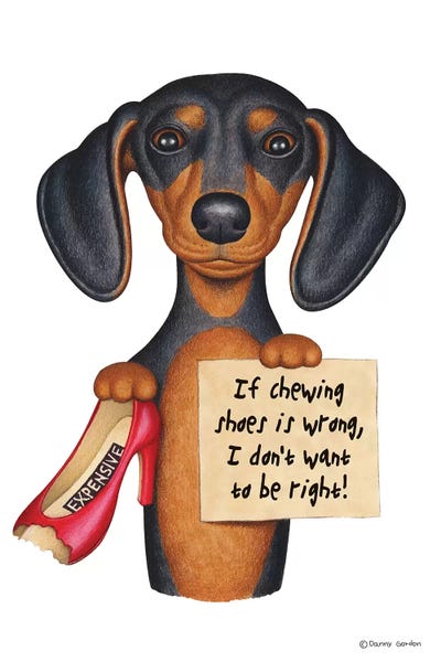 Dachshunds: Dachshund I Don't Want To Be Right With Shoe by Danny Gordon